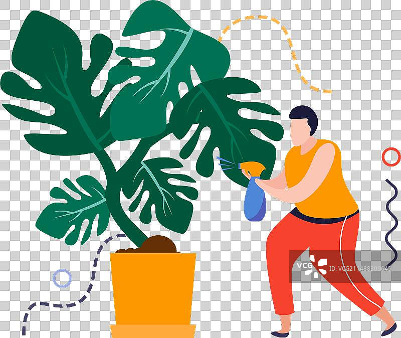 喷洒家庭花园构图图片素材