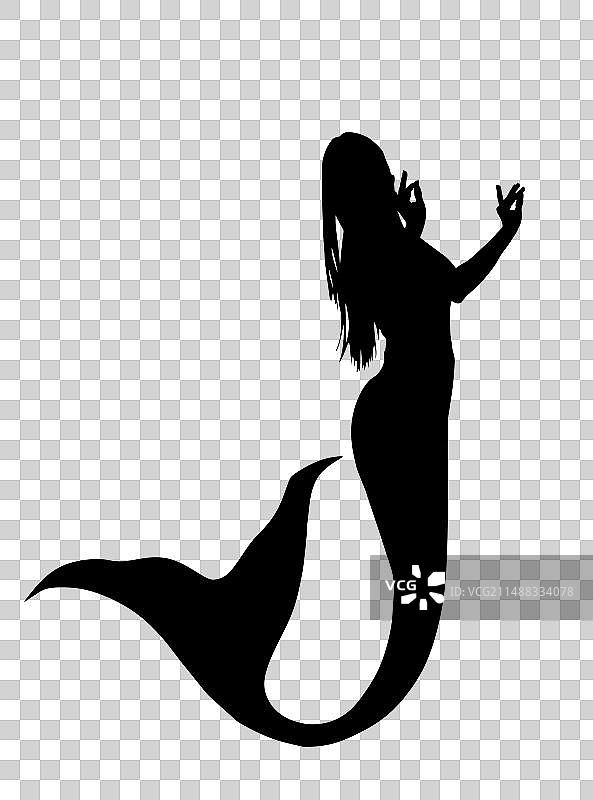 优雅的美人鱼剪影（已隔离）图片素材