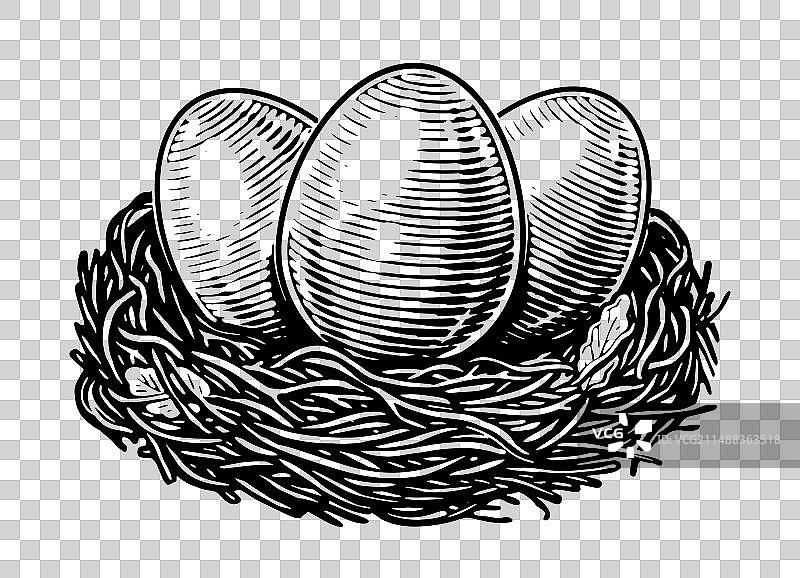 干草巢有机鸡蛋图片素材