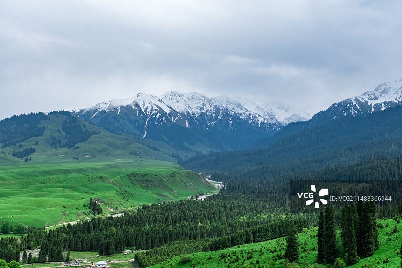 新疆伊犁恰西雪山森林草原风光图片素材