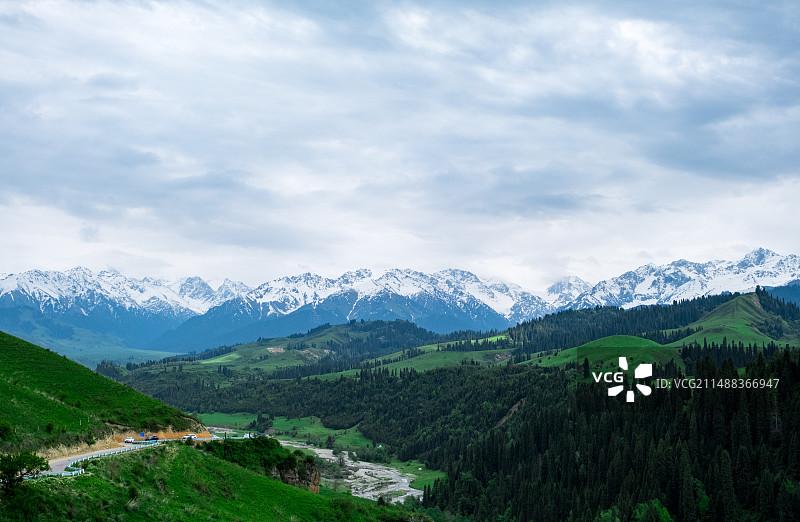 新疆伊犁恰西雪山森林草原风光图片素材