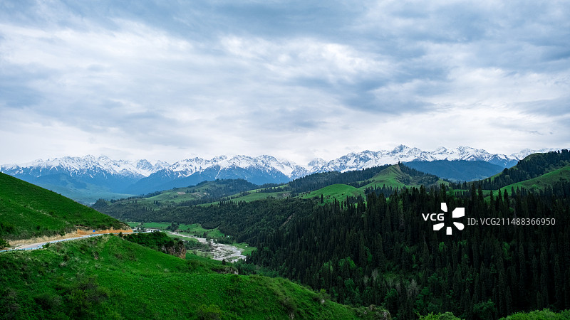 新疆伊犁恰西雪山森林草原风光图片素材