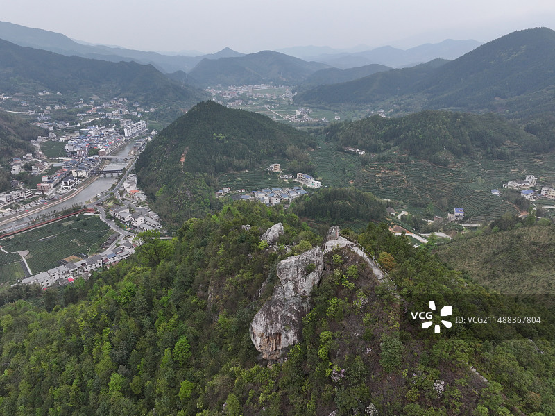江西吉安市遂川县狗牯脑茶园图片素材