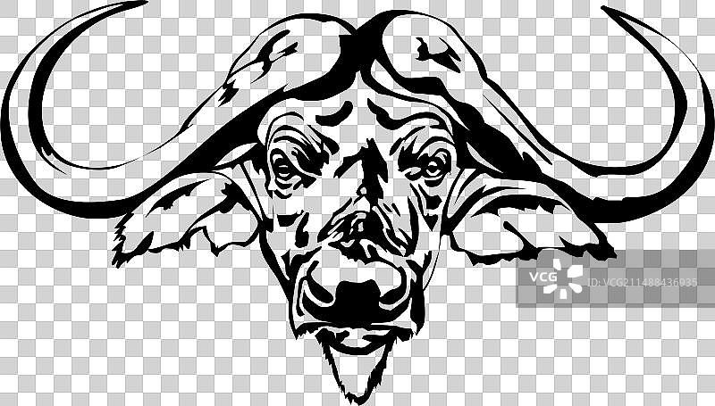 水牛头图片素材