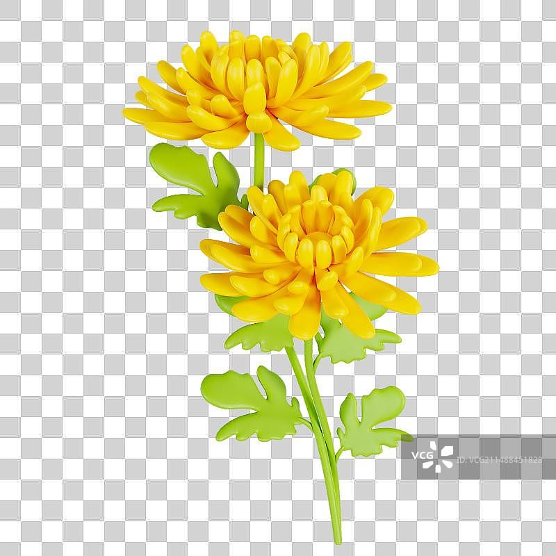 3D渲染的黄色菊花清明节元素图片素材