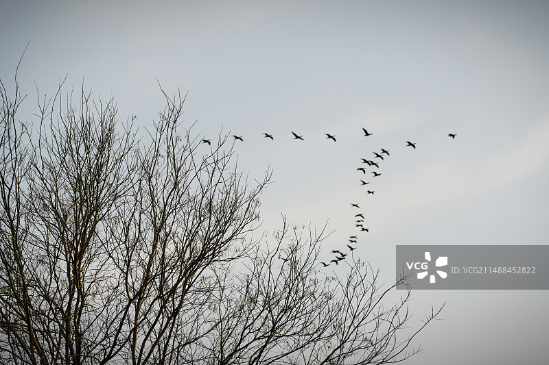 飞成人形图片素材