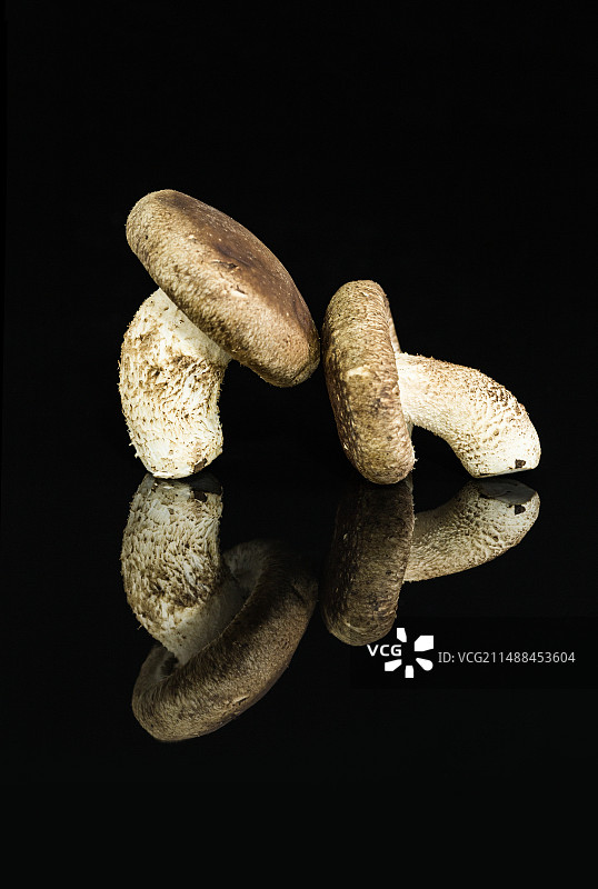 黑色背景下蘑菇的特写镜头图片素材