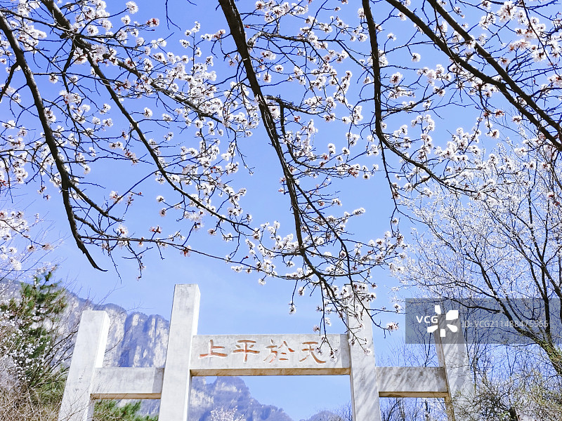 天平山的春天图片素材