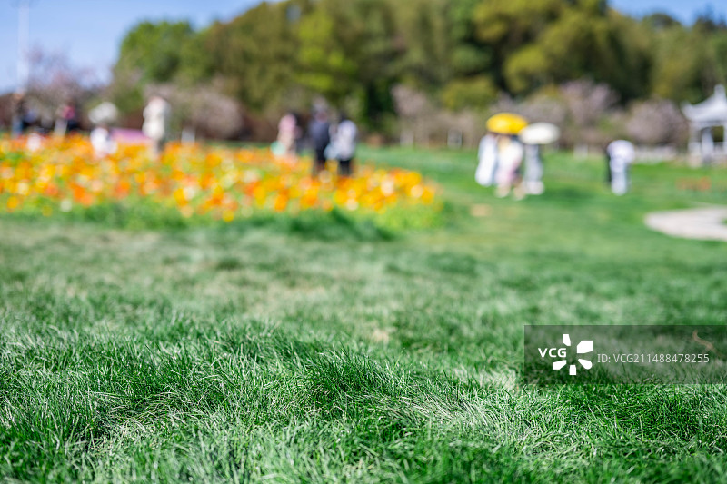 公园春游踏青模糊梦幻背景图片素材