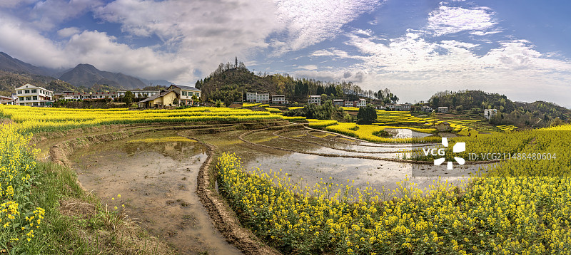 陕西安康凤堰古梯田春季油菜花风光（哈苏相机高清图片）图片素材