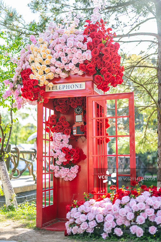 长沙园林生态园的玫瑰花复古电话亭图片素材
