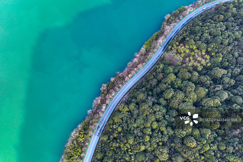 俯拍下的公路和树图片素材