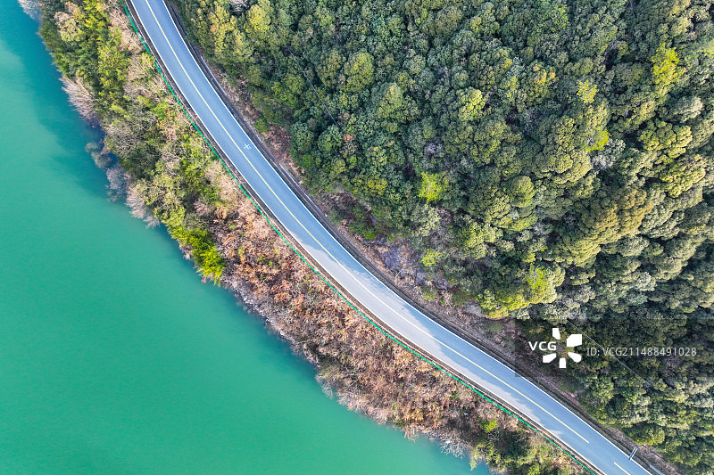 俯拍下的公路和树图片素材