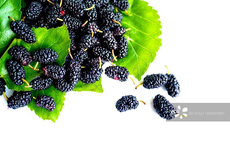 白背景上的桑葚图片素材