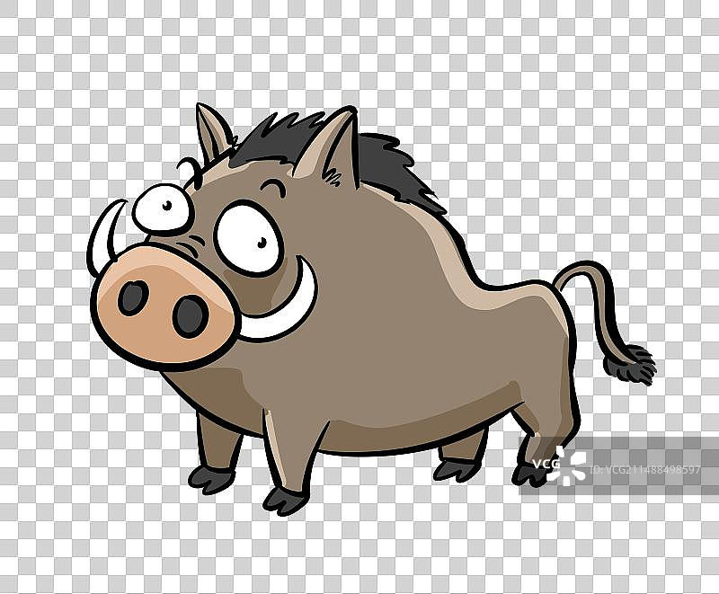 一头野猪图片素材