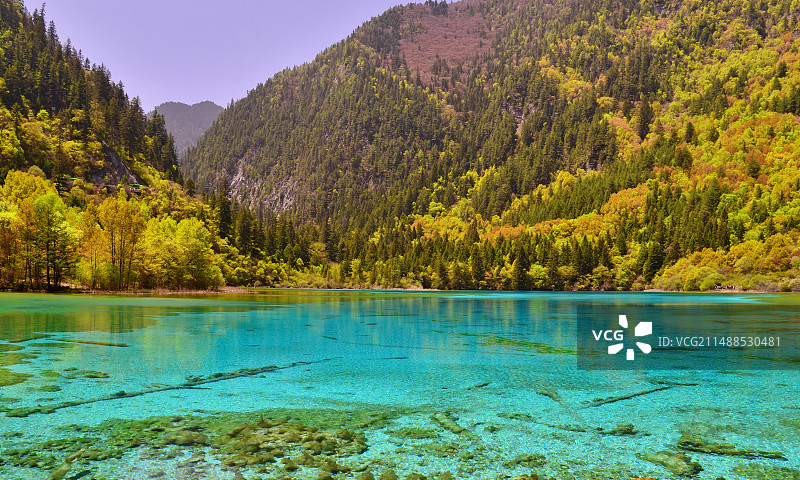 迷人的九寨沟五花海景色，春季的森林倒影在湖水中图片素材