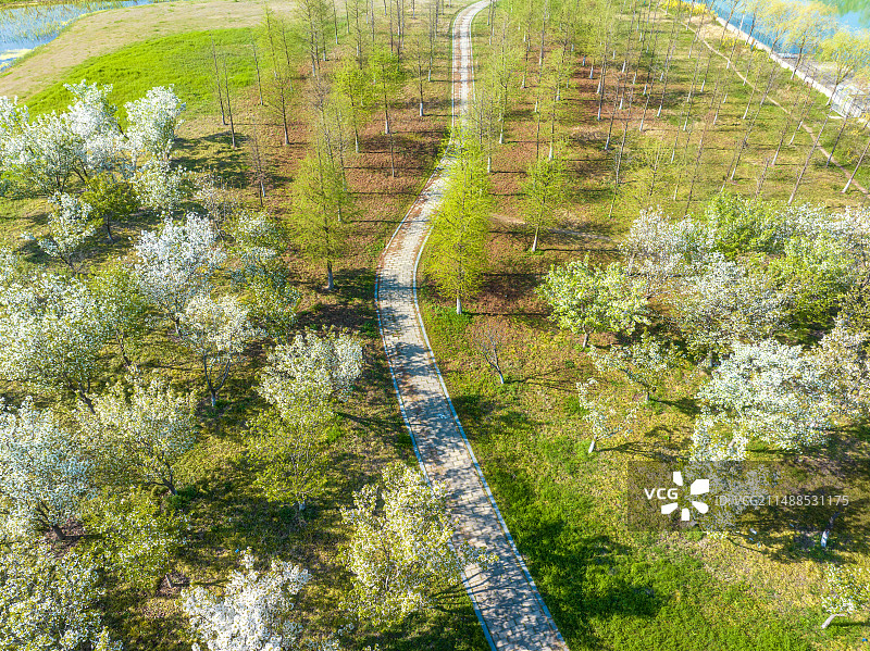 春天里的苏州工业园区东沙湖与苏州中环航拍图片素材