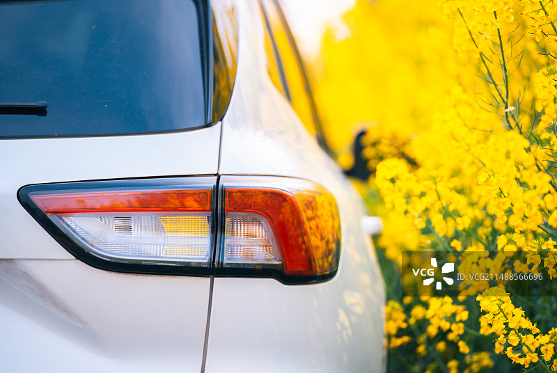 自驾踏青驾车安全图片素材