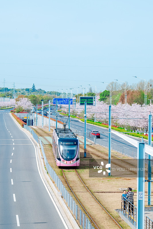 樱花列车图片素材