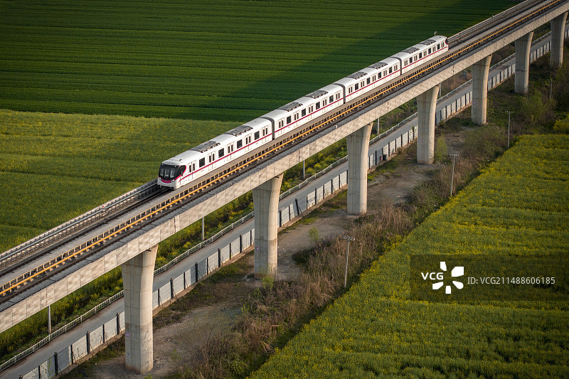 驶入油菜花海的地铁列车图片素材
