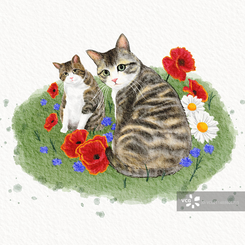 花丛中的两只猫图片素材