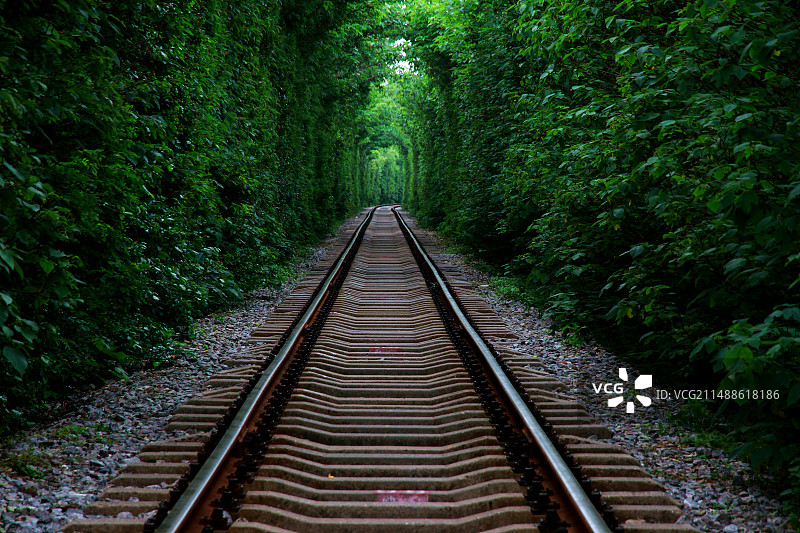 森林铁轨图片素材
