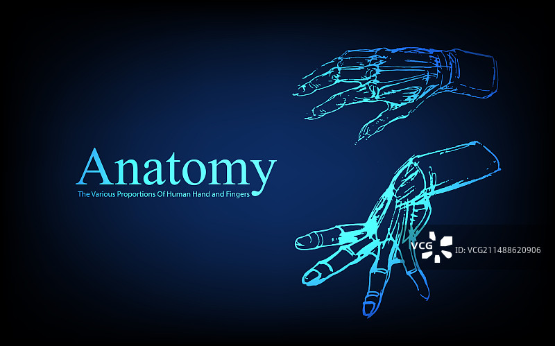 X光视图人体解剖图片素材