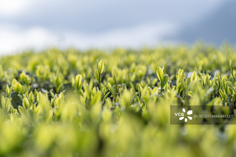 湖北省恩施市图片素材