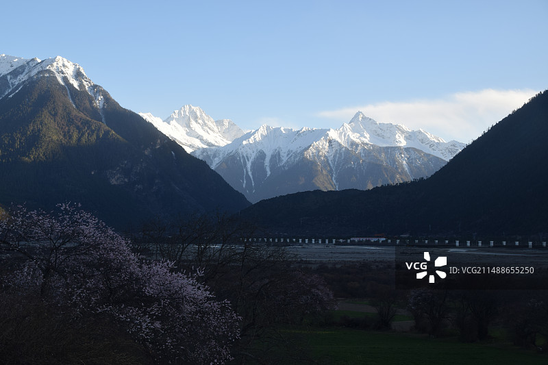 波密桃花沟图片素材