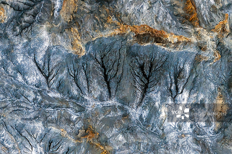 康定墨石公园大地树纹图片素材