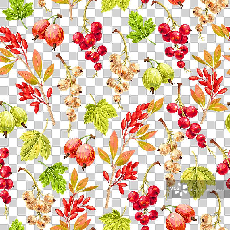 彩色醋栗无缝图案图片素材