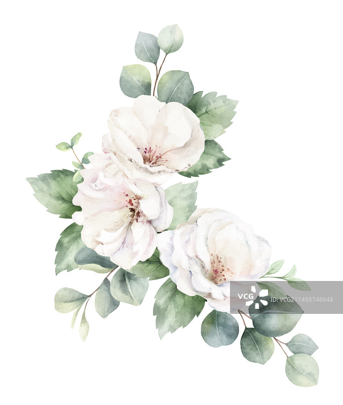 白色玫瑰水彩花束图片素材