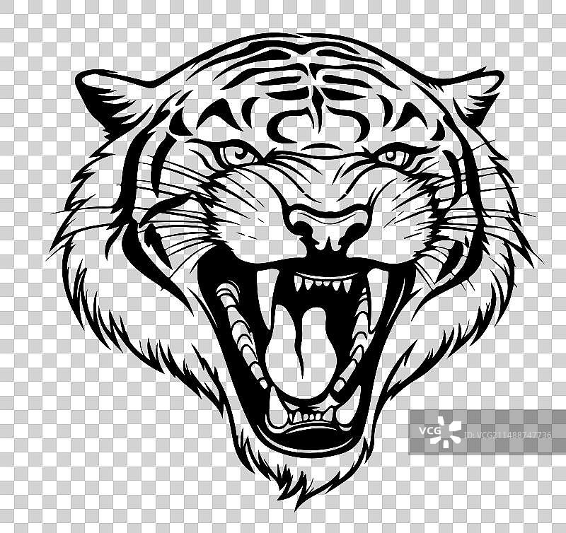 手绘素描风格的咆哮老虎图片素材