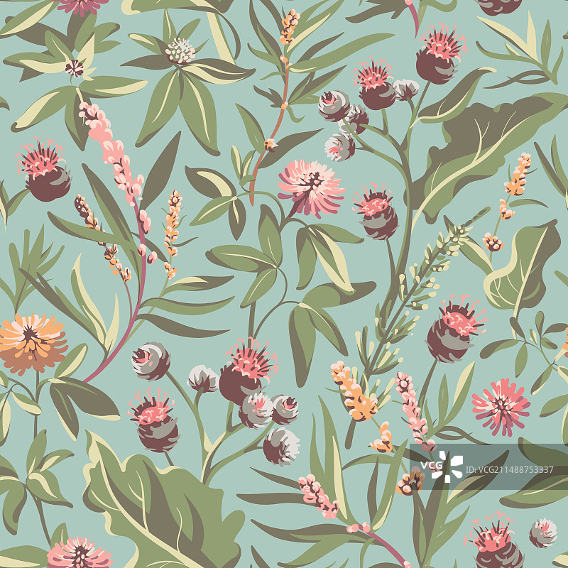 牛蒡三叶草花卉无缝图案图片素材