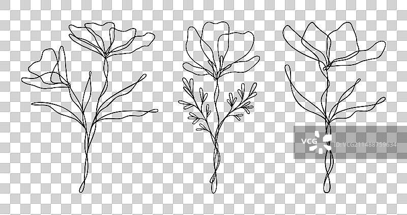 野花线条艺术合集图片素材