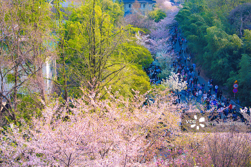 南京明城墙神策门到太平门沿线风景图片素材
