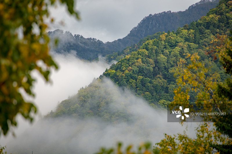 亚洲日本北海道札幌定山溪步道图片素材