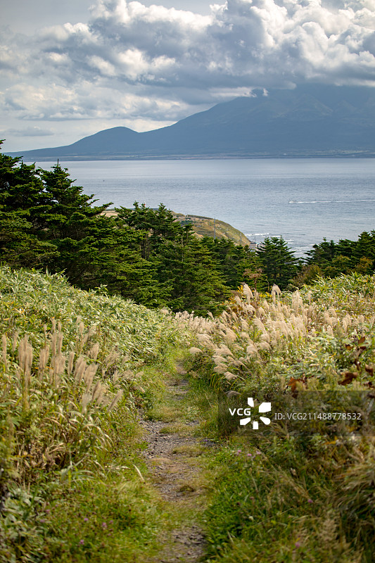 亚洲日本北海道礼文岛的桃岩徒步道图片素材