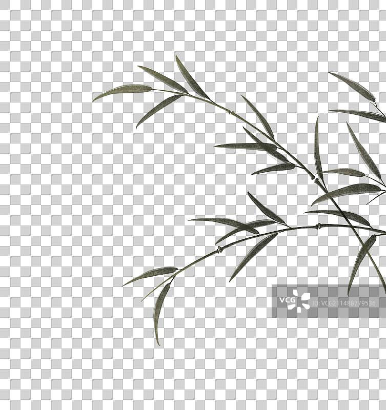 水墨风插画竹叶图片素材