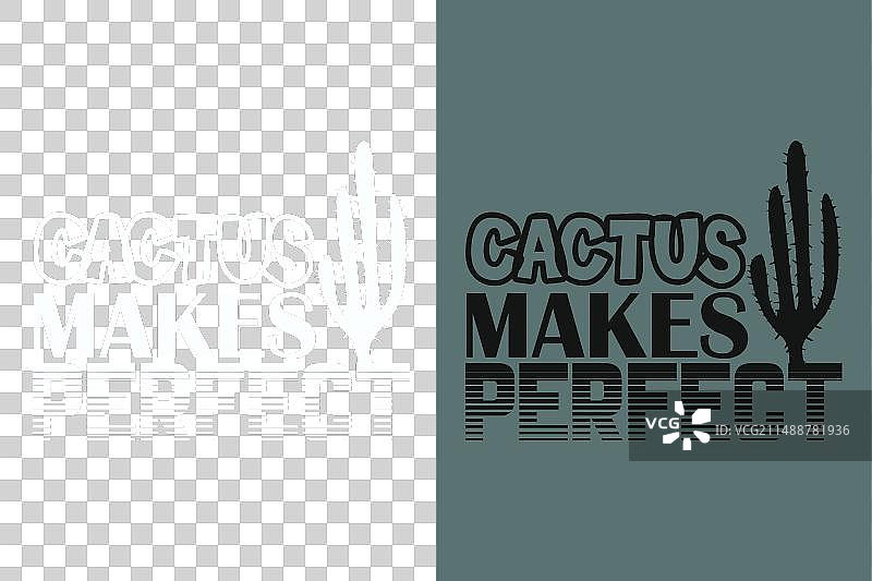 完美的仙人掌图片素材