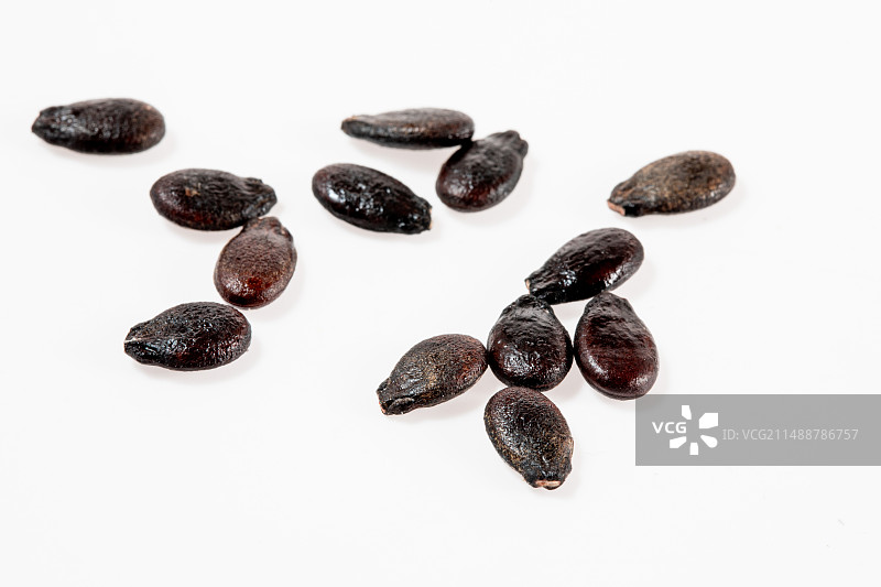 白色背景上的黑美人 西瓜种子图片素材