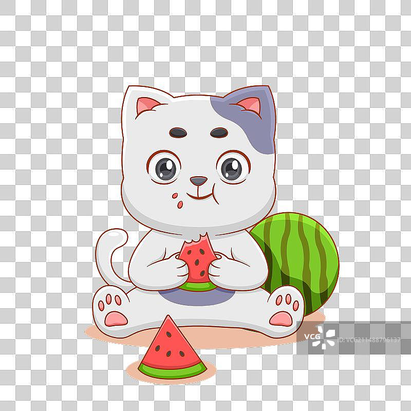 可爱猫咪吃西瓜图片素材