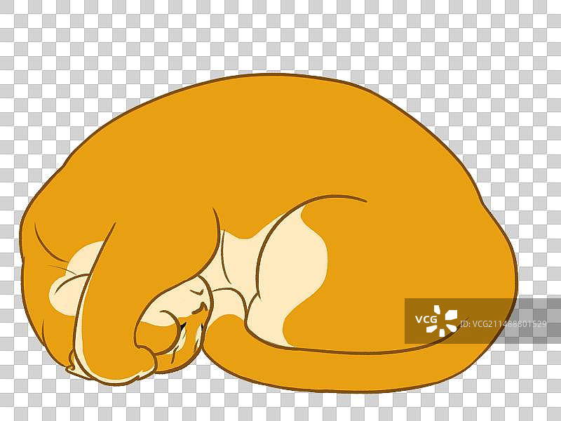 宠物英短金渐层猫卧睡睡觉手绘卡通插画漫画免抠元素图片素材