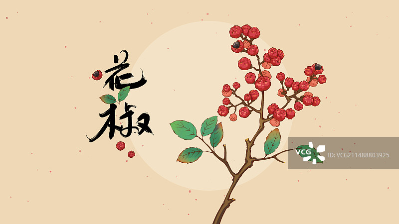 手绘植物插画素材，红色花椒麻椒大红袍，四川汉源甘肃天水秦安麦积陇南武都花椒，书法艺术字体。图片素材