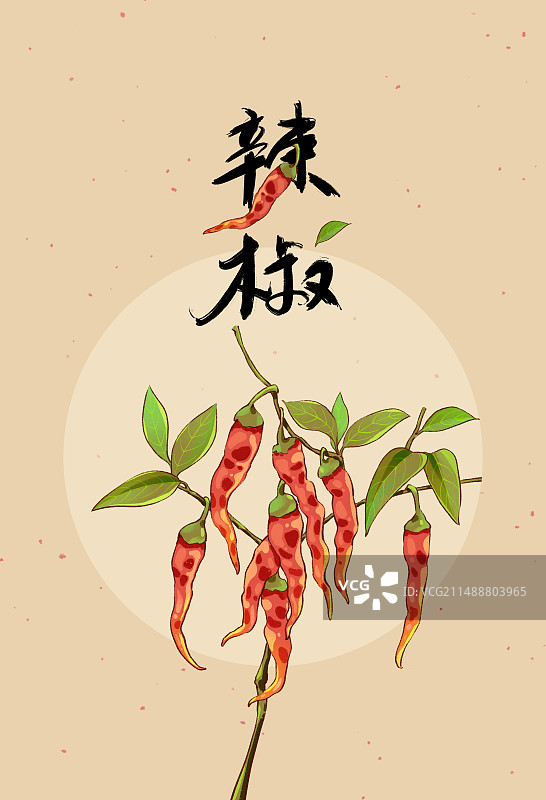 手绘植物插画素材，红色辣椒，四川重庆甘肃陕西云南贵州甘谷辣椒，书法艺术字体。图片素材