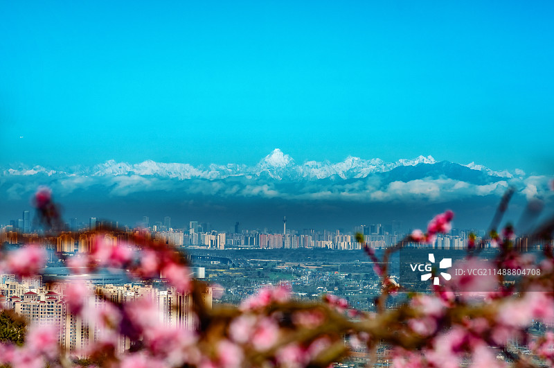 成都龙泉山桃花与城市雪山图片素材