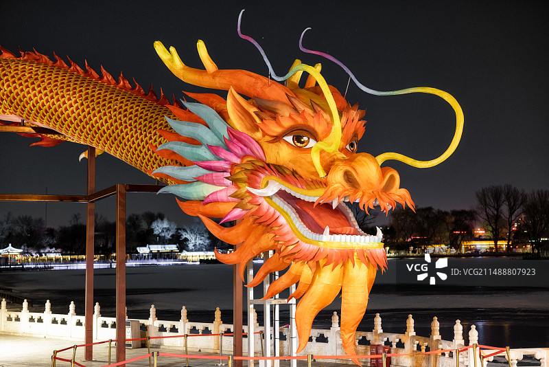 荷花市场的大龙灯图片素材