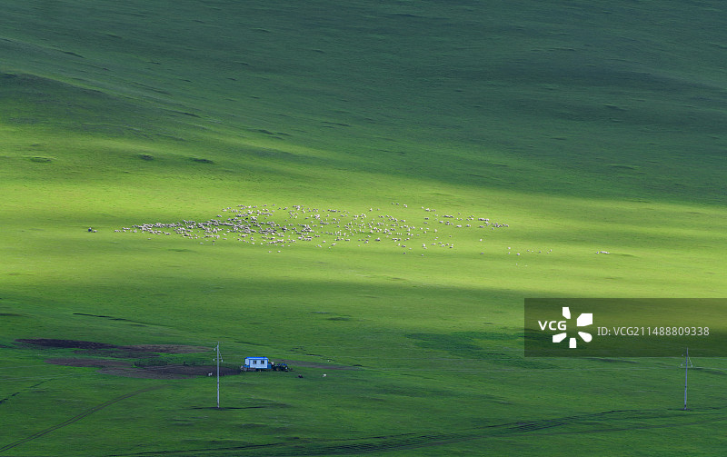 呼伦贝尔夏季草原图片素材