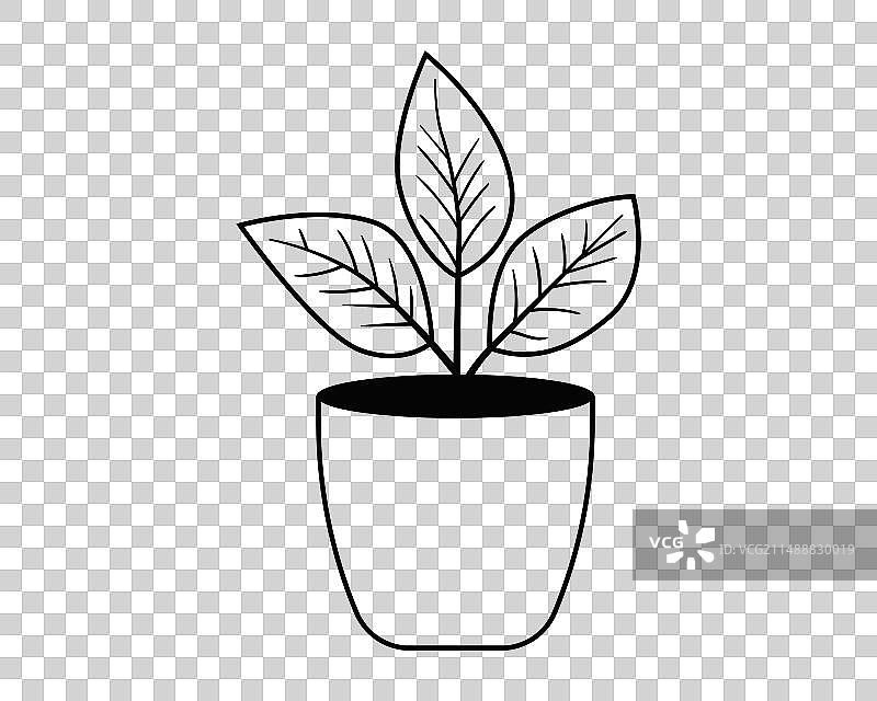 家居装饰盆栽植物图标图片素材