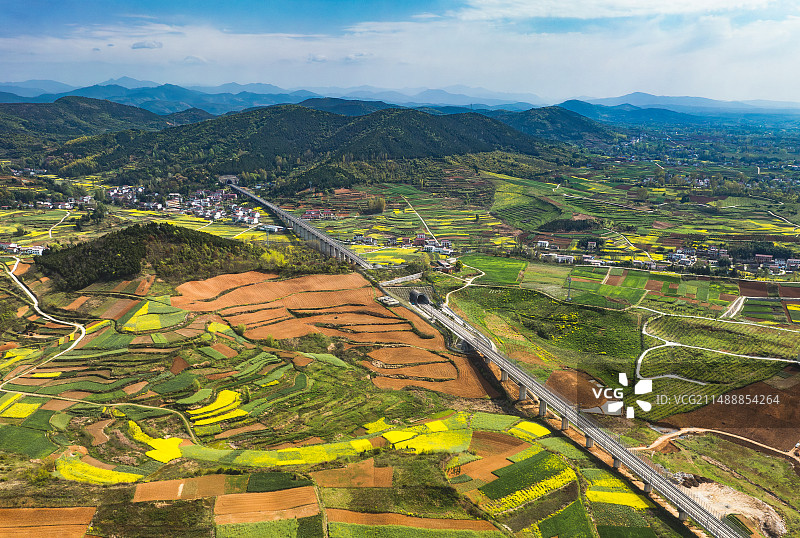 洋县油菜花田图片素材
